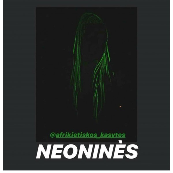 Neoninis N1
